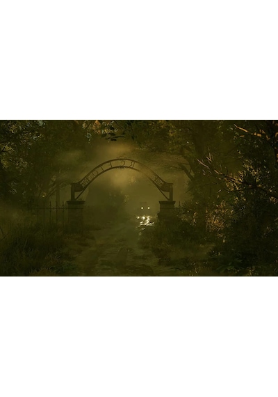 Alone İn The Dark PS5 Oyun