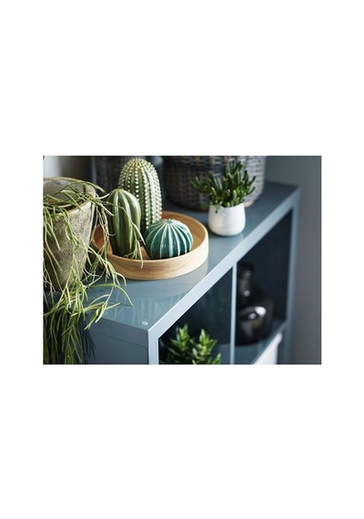 Ikea Själslıgt Dekoratif Aksesuar, Kaktüs, 3 Parça Çok Renkli