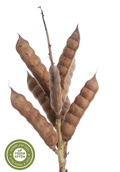 Yörem Afyon Meşhur Balıkesir Yöresinden Acı Bakla, Termiye, Yahudi Baklası Lupinus 450gr.