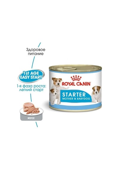 Royal Canin Royal Canin Starter Mousse 6 Adet, Her Biri 195 G 136115464