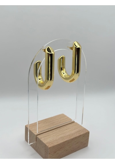Arnes Jewelry Çelik Gold Küpe Ar337nes Gold