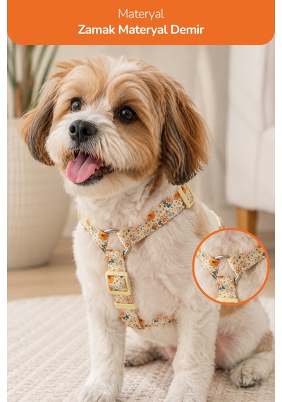Köpekler İçin Dayanıklı Ve Güvenli, Desenli H Tipi Göğüs Tasması 20mm Krem