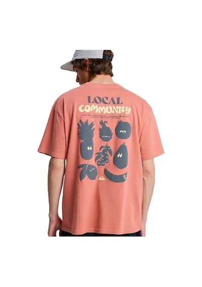 Quiksilver Fruits Tide Erkek T-shirt Eqyzt08296-2020 Pembe