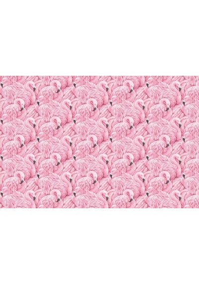 Pembe Flamingolar Duvar Kağıdı (359229682)