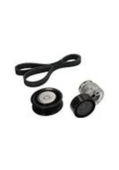 My 117203804r Alternatör Aksesuar Kayış Seti Duster 1.5dcı 117203804r