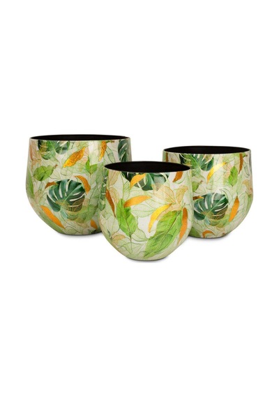 Lush Botanic S Saksı