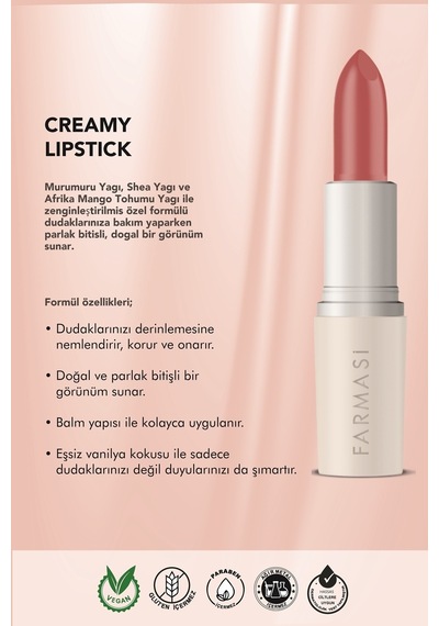 Farmasi Creamy Lipstick 05 Rosewood