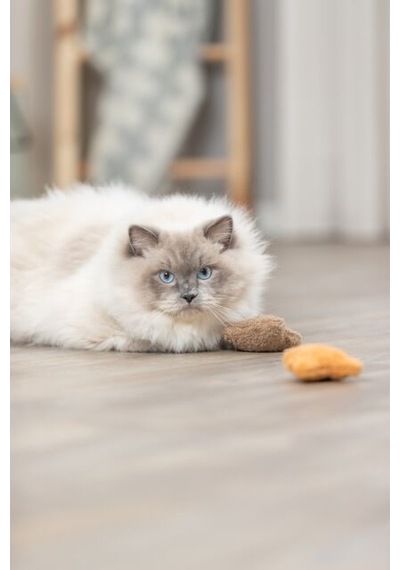 Trixie Kedi Oyuncağı, Peluş Ayı, Kediotlu 8cm