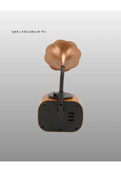 Northcity Mini Nostaljik Bluetooth Hoparlör Fm Radyo - Yeni Nesil