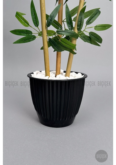 Biçiçek Bambu Ağaci 110 Cm 3 Gövdeli̇