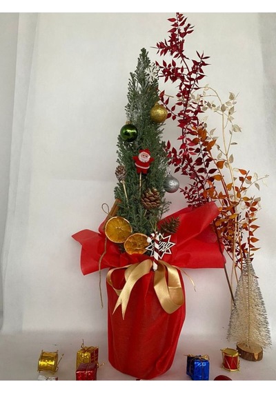 Elwoodi Yılbaşı Ağacı-yılbaşı Çamı 30-50cm Hediye Paketli Kozalak Ve Portakallar Dahil