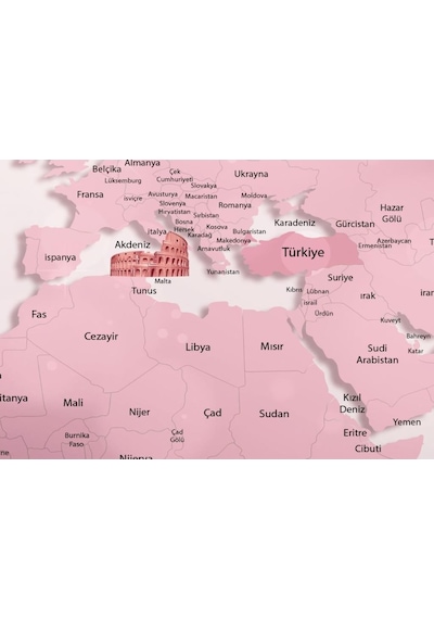Pembe Dünya Haritası Ve Sevimli Canlılar Eğitici Duvar Kağıdı