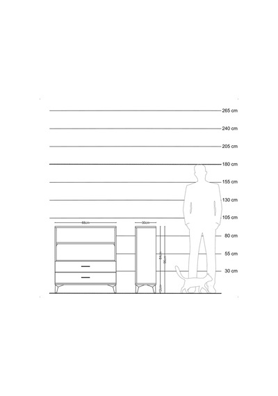 Arges Şifonyer 2 Raflı 2 Çekmeceli 88x30x96 Çam-aytaşı Çam