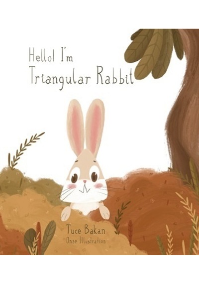 Hello I'M Triangular Rabbit