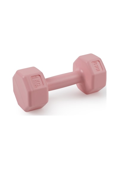 Psspor 2 Adet 1kg Pembe Renk Dambıl Seti 2 Adet 1kg Gönderim Yapılmaktadır