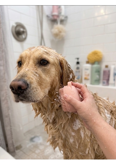 Şampuan Hazneli Kedi Köpek Yıkama Fırçası - Pembe Yumuşak Silikon Masaj Aparatı