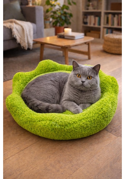 Çiçek Kedi Yatağı