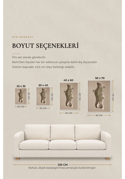 Ahşap Çerçeveli 3'lü Mdf Tablo Seti Uv Baskı Bej Organik Form Japandi Salon Duvar Dekoru Renk: Beyaz