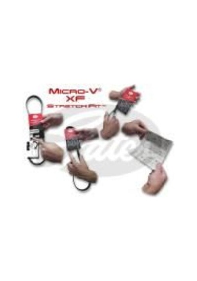 Gates 4pk895sf Kanallı Kayış Bmw 3 3 Stilo 1.6 03 64557795144
