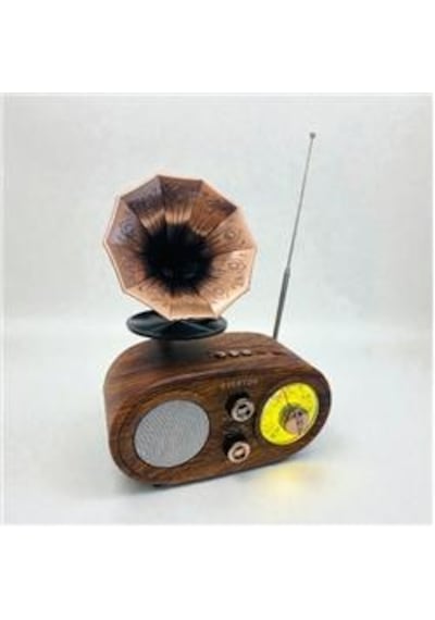 Everton Rt-746 Bluetooth Fm-usb-tf-aux Şarjlı Nostaljik Radyo
