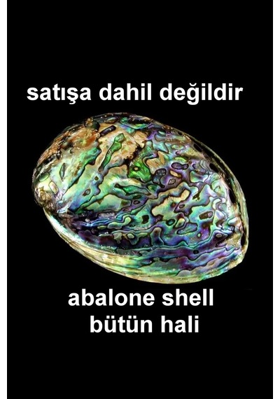 Pozitif Doğal Taş Abalone Shell Süper Renkli Sedef Bileklik 545-3 Çok Renkli