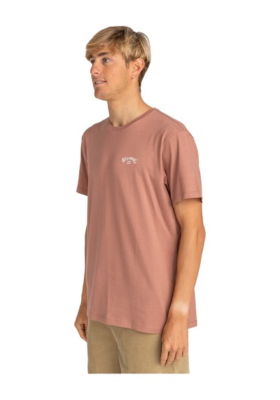 Bıllabong Billabong Arch Crew Erkek Kırmızı Tişört R23 Bordo