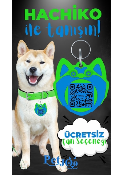 Petjoo 19.Hachiko Mavi-Yeşil Qr'lı Köpek Künyesi
