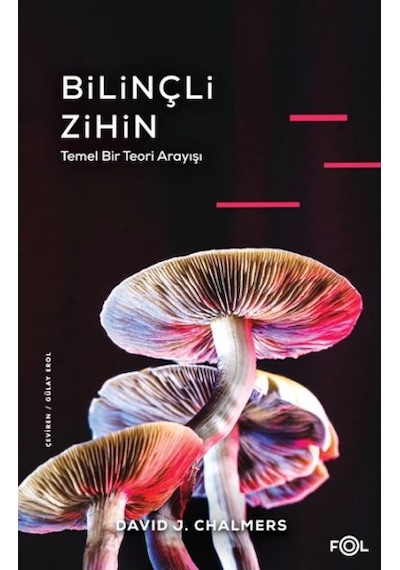 Bilinçli Zihin Temel Bir Teori Arayışı