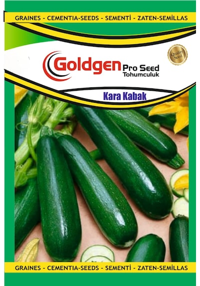 Goldgen Kara Kabak Tohumu 1 Paket