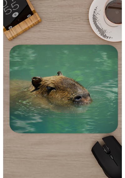 Capybara Kaymaz Dikişli Kauçuk Oyuncu Mousepad V2 - 22x18 Gaming Mouse Pad Fare Altlığı