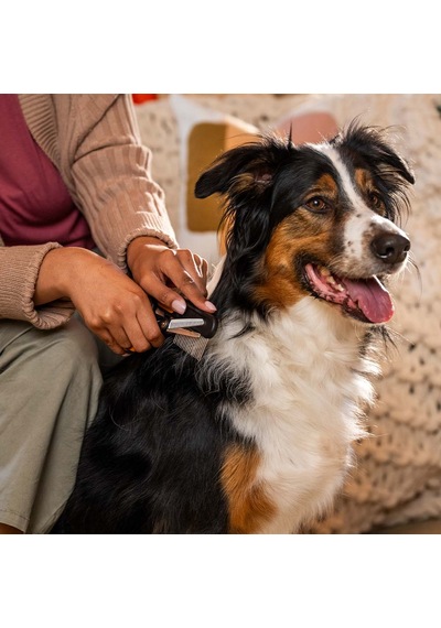 Fiskars Kedi Ve Köpek Tüy İnceltme Ve Tıraş Makası Fk-2009128 Fiskars
