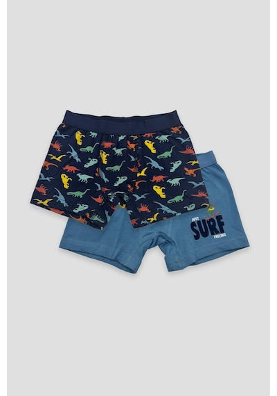 Defne Baby Erkek Çocuk Deseli Premium Pamuklu 2'li Boxer Seti Çok Renkli