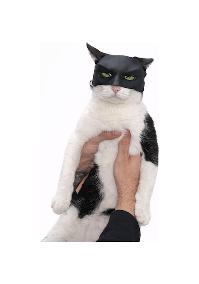 Kedi & Küçük Evcil Hayvanlar İçin Siyah Maske Dekoratif Eğlenceli Fotoğraf Maskesi Hafif