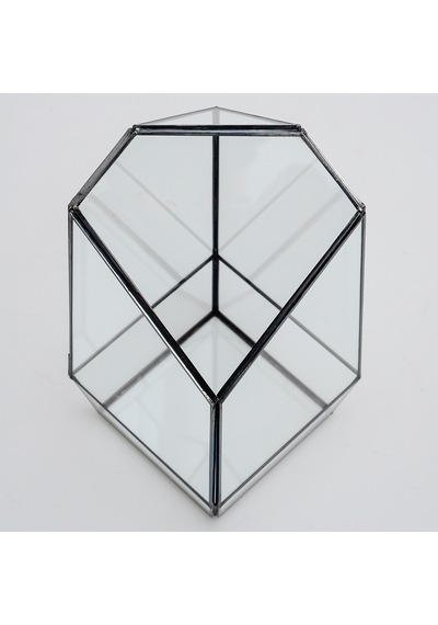 Cam Fanus Geometrik Teraryum Siyah Valens
