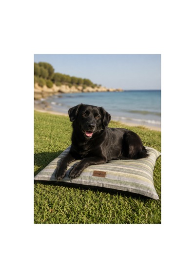 Kedi Ve Köpek Yer Minderi Üst Kalite Yıkanabilir Kılıflı Fermuarlı %100 Boncuk Elyaf Kaydırmaz Taban Kedi Ve Köpek Yatağı Çok Renkli 1604537252 Kedi Ve Köpek Yer Minderi Üst Kalite Yıkanabilir Kılıflı Fermuarlı %100 Boncuk Elyaf Kaydırmaz Taban Kedi Ve Köpek Yatağı Çok Renkli 1604537252