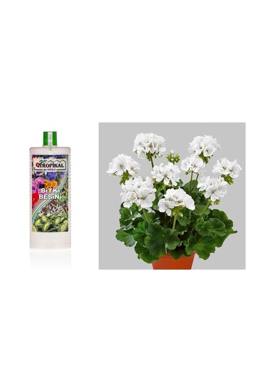 Tropikal Besin Bitkis 3 Adet - 1000 Ml
