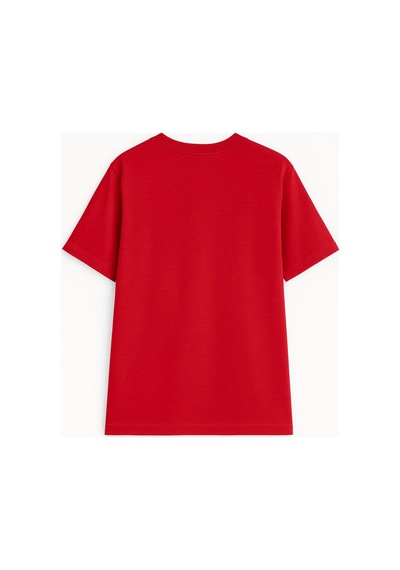 Erkek %100 Pamuk Basic T-shirt Çok Renkli