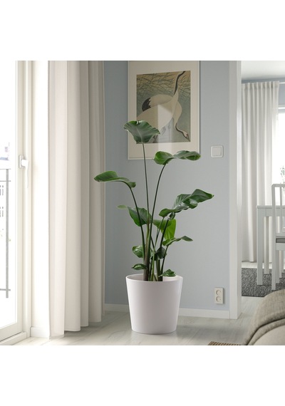 Ikea Sojaböna Toprak Saksı 32 Cm Beyaz