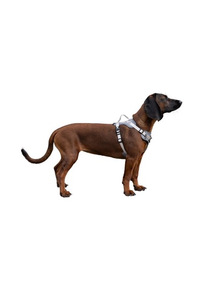 Y Tipi Spor Köpek Göğüs Tasması 15 Mm 30-50 / 50-60 Cm - Fitty Serisi - S Gri