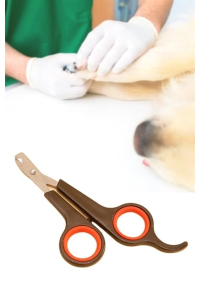 Go İthalat Küçük Çelik Uçlu Kedi Köpek Evcil Hayvan Tırnak Makası Pati Bakım Aleti Ergonomik Kaymaz