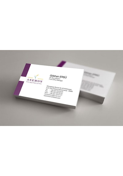 Kartvizit (542078470)