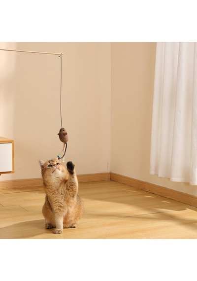 Charmy Penny Catnipli Kedi Oyuncağı Olta Brown