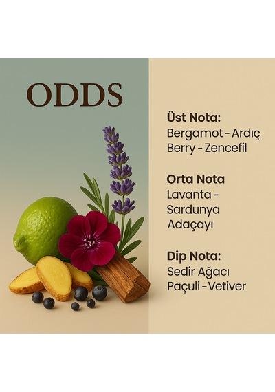 Machuu Odds Erkek Parfüm EDP 50 ML