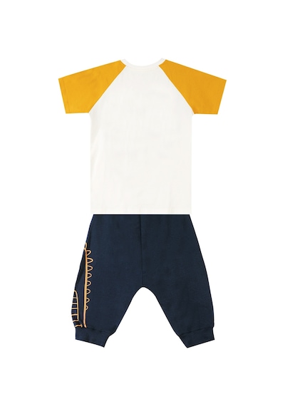 Denokids Roarsome Erkek Çocuk T-shirt Kapri Şort Takım Çok Renkli