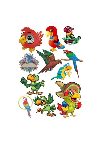 Papağan Sticker Set-1 12 Parça Telefon, Tablet, Defter, Laptop Sticker