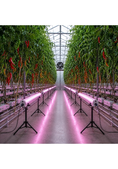 Sonicpro Subflora 120 Under Canopy Led 120w Full Güç Kablosu Dahil