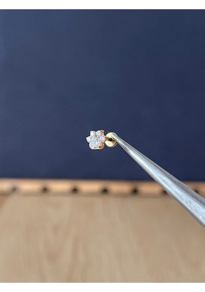 %100 G23 Titanyum Pırlanta Model Pati Model Altın Titanyum Labret Kıkırdak Piercing Gümüş - Mavi