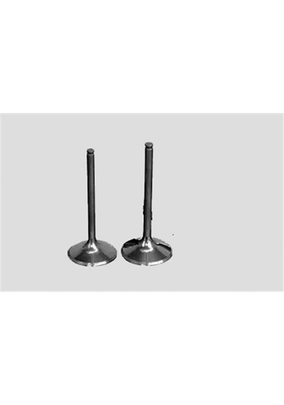 Süpsan Tv-40572-40470 Subap Takımı 106 I 306 I 1.1 Tu1M Eng.