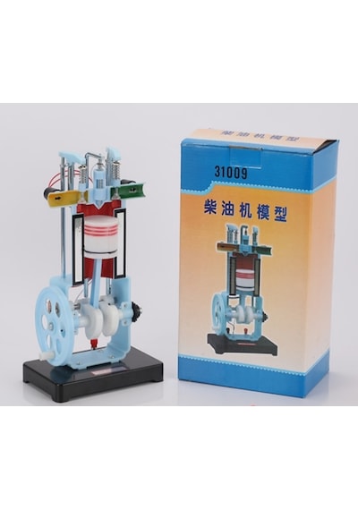 Dizel Motor Modeli 4 Zamanlı İçten Yanmalı Eğitim Modeli 31008