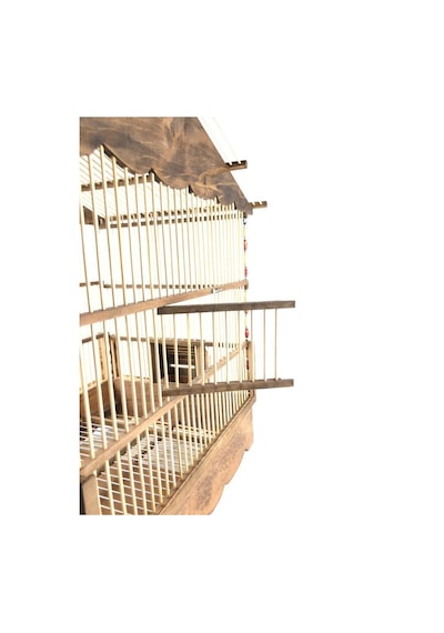 Mega Di̇k Çatı Bambu Kafes